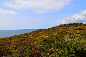 烟花爆竹经营许可证(烟花爆竹经营许可证办理需要多久) 烟花爆竹经营许可证