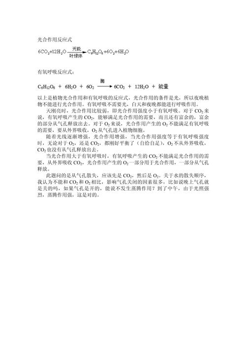 光合作用（光合作用化学方程式）