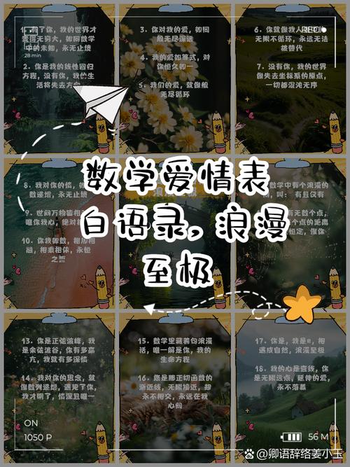 恋爱中的数学题（数学中的恋爱数）