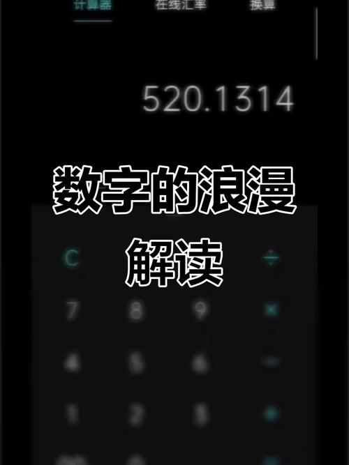 恋爱中的数学题（数学中的恋爱数）