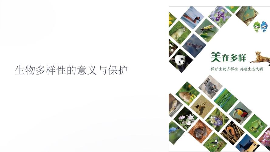 生物多样性保护意义（生物多样性保护的意义何在?）