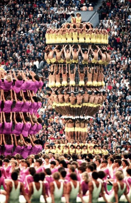 运动会凑人数惨案（运动会777人）