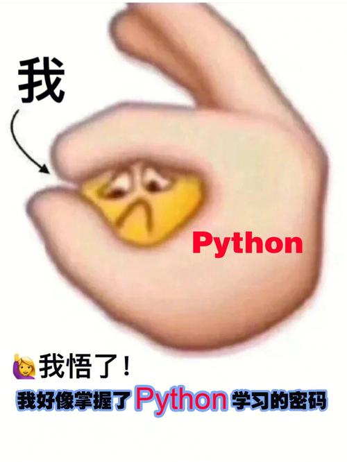 用表情包编程的可能性（编程表情包代码）