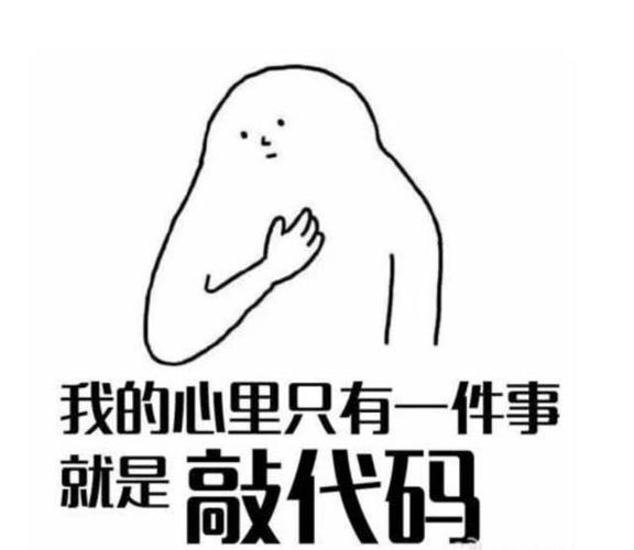 用表情包编程的可能性（编程表情包代码）