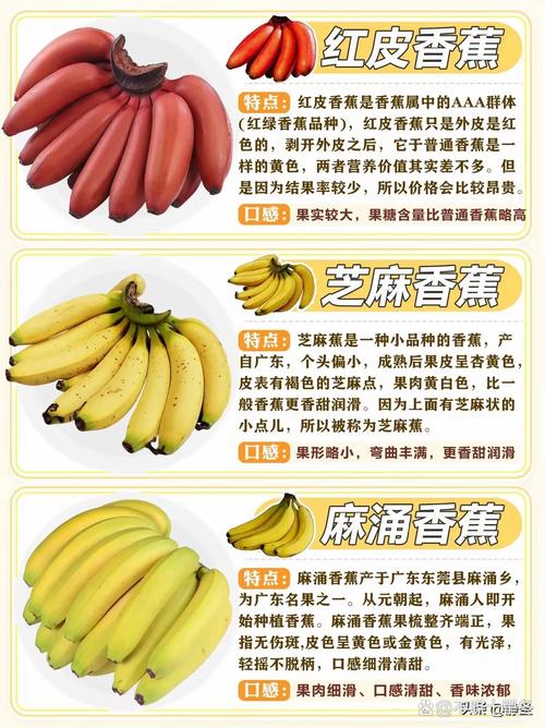香蕉其实是浆果（香蕉其实是浆果吗）