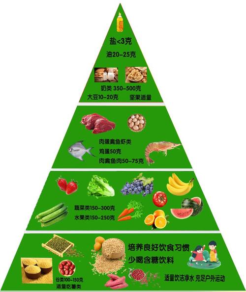 膳食金字塔结构（膳食金字塔的组成）