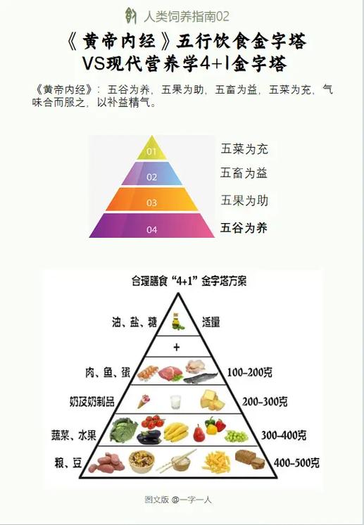 膳食金字塔结构（膳食金字塔的组成）