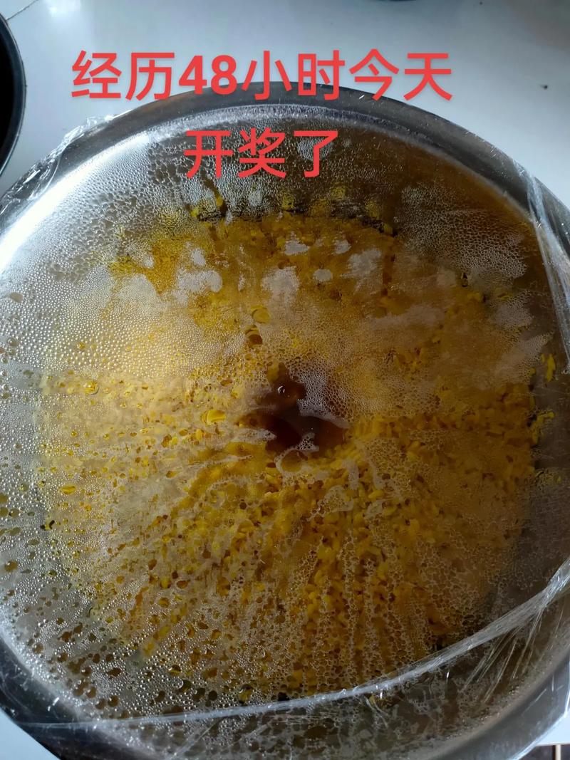 早起失败记录（失败早餐的图片）