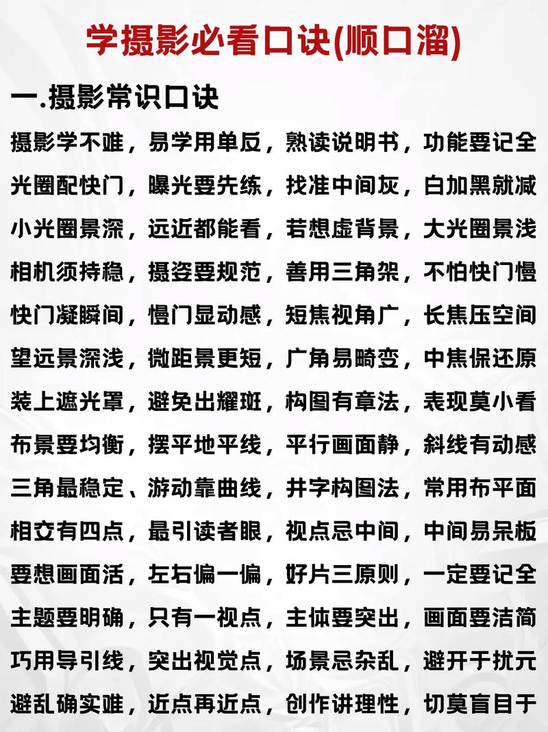 手机摄影入门教程从零开始学摄影视频教程（手机摄影初学）手机摄影初学