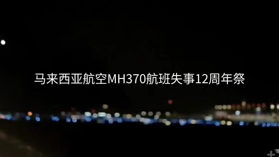 马来西亚称航空公司或因燃料成本上升而暂停航班