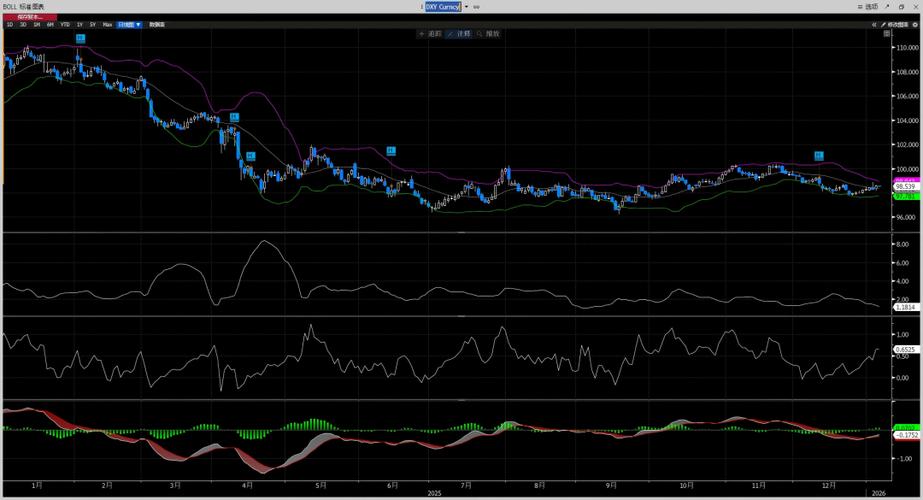 纽约汇市:彭博美元指数收于年内最高水平 受避险需求提振