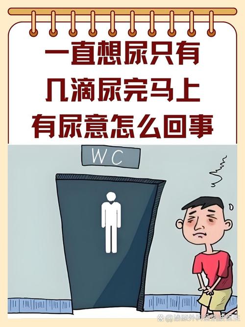 总是想尿,尿完还有尿意女(总是想尿,尿完还有尿意是怎么回事)总是想尿,尿完还有尿意是怎么回事