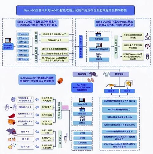 关于中国芯片自主化路线图:28nm以下工艺的突破时间表的信息